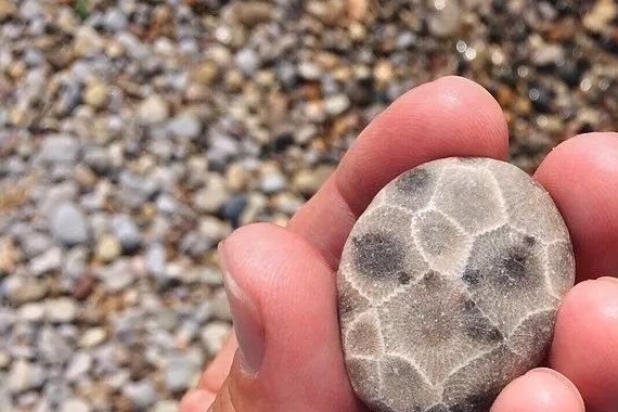 小青书 | 理解消费的基石