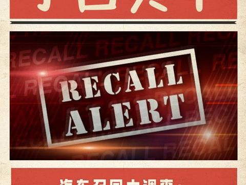 美媒汽车召回大调查：大众召回最多 特斯拉最及时 福特最懈怠
