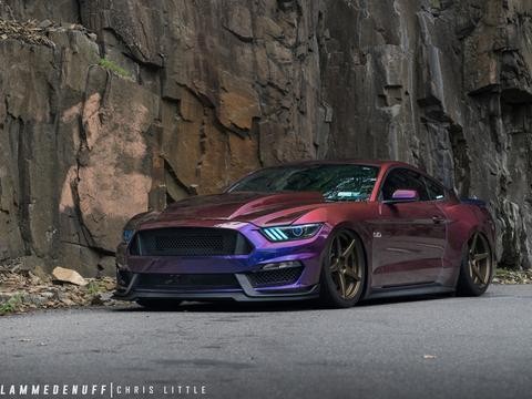 若你喜欢怪人其实她很美 福特野马案例