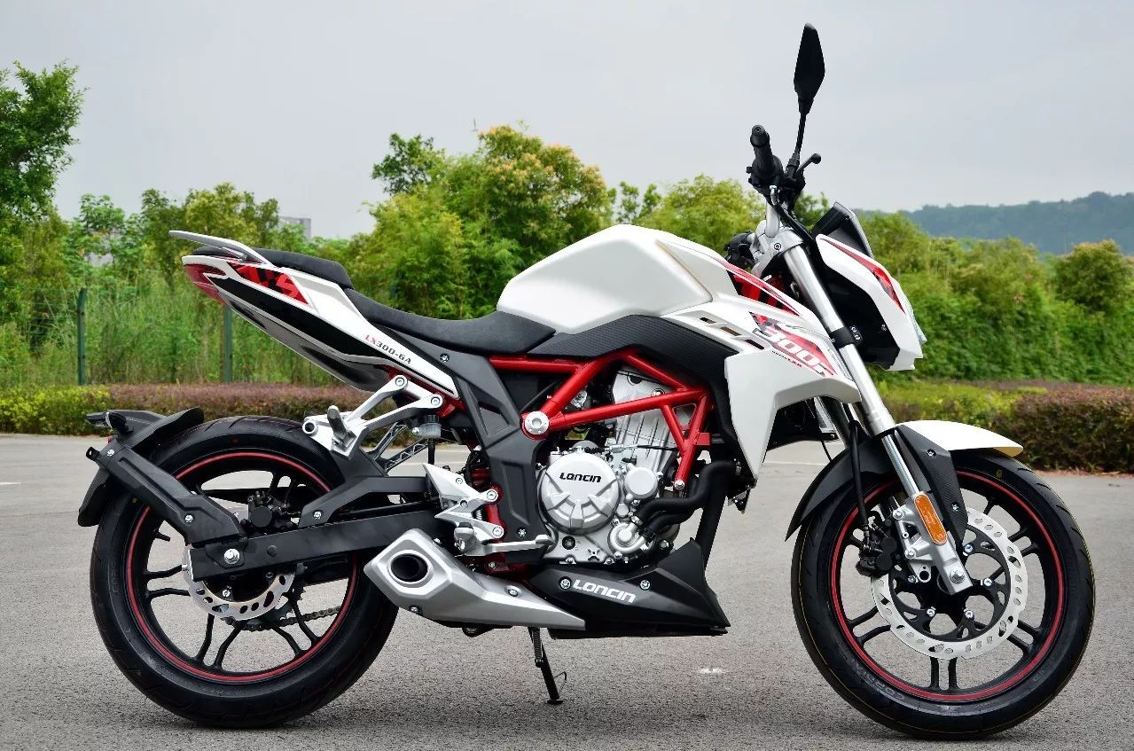 隆鑫300_升仕幽灵310cc