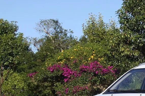 这些SUV竟然被红火的市场被虐成渣