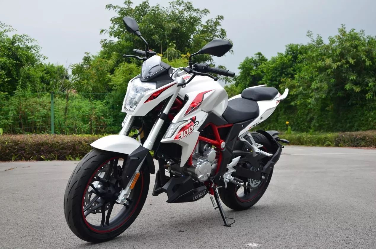 隆鑫300_升仕幽灵310cc