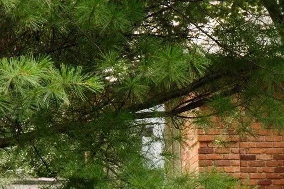 豪华中大型SUV新贵，个性首选，不服来怼！