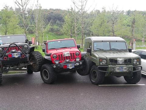 什么是个性张扬，什么是私人定制，看看这些车就明白