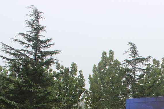 《车舞飞扬》智者悦水，泛舟恒升奥体——感受玛莎拉蒂奢华和运动的完美结合