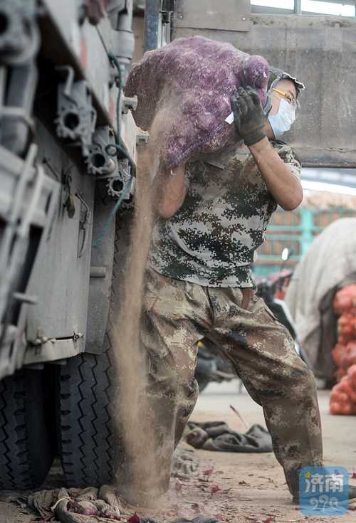 蔬菜专职搬运工 装卸一吨赚12元