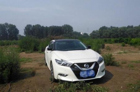 小伙子买了日产西玛 各方面都觉得不错 很纳闷为啥没人买