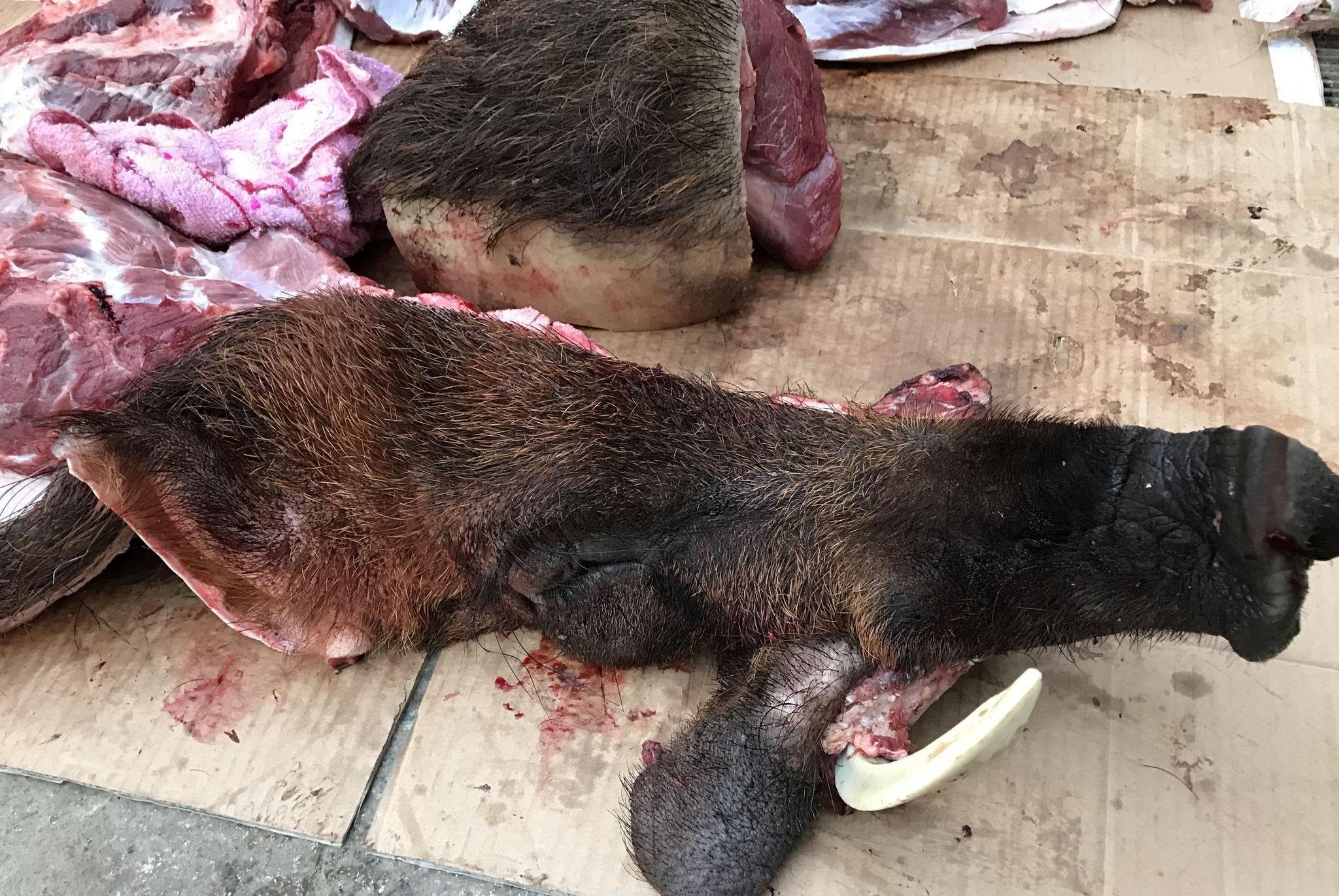 农村男子集市上卖"带毛"野猪肉50一斤,半卖半送村民抢购一空!