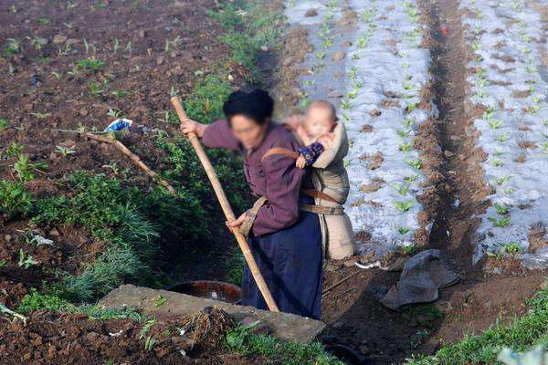 背着孩子下田种地,农村妇女的美德还在延续