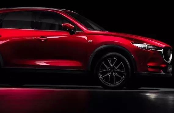 究竟具备了什么，让ta如此与众不同