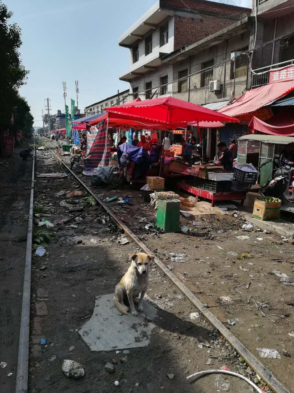 菜市夜市摆上西安一条铁路线,居民担忧无人理