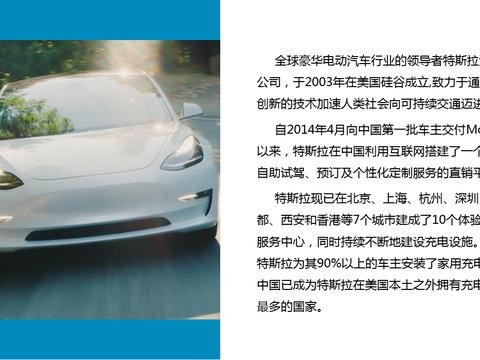 特斯拉中国市场前景研究报告