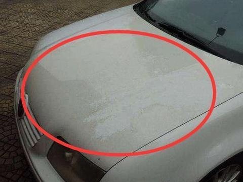 新车和白色车多长时间打一次蜡？教你一招抹一抹，车身锃亮不沾灰