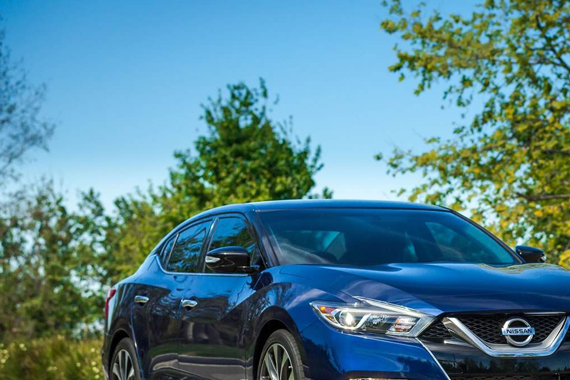 别人卖得差而我独好！有型有格又顽强，就数他们俩