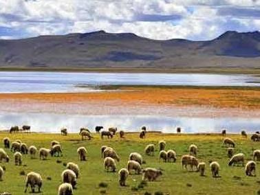 十一出行还在傻傻的抢车票？快点驾驶爱车出发吧！