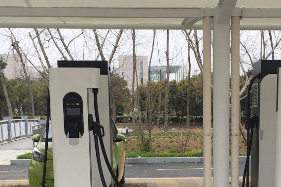 如果电动汽车没有补贴，会有多少人选择买它呢，很多还是没有？