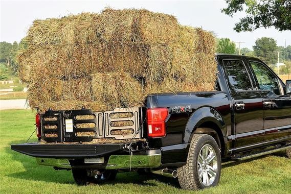 好消息！这车终于可以进城了！可是车主却高兴不起来