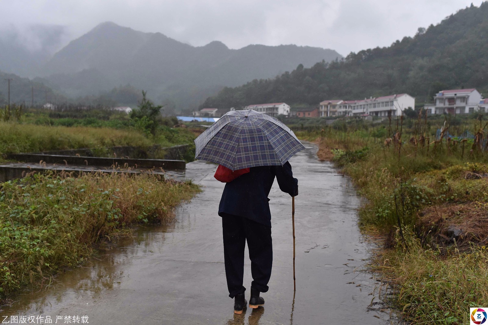 回家的道路上,71岁的金先虎老人佝偻着身子,杵着拐杖,缓缓而行.