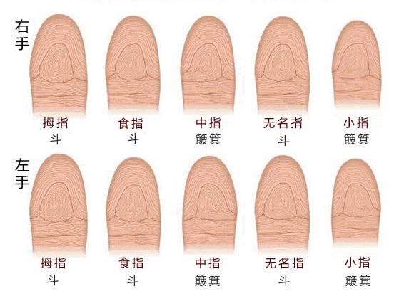 从你的手指纹来看，有几个斗是富贵命