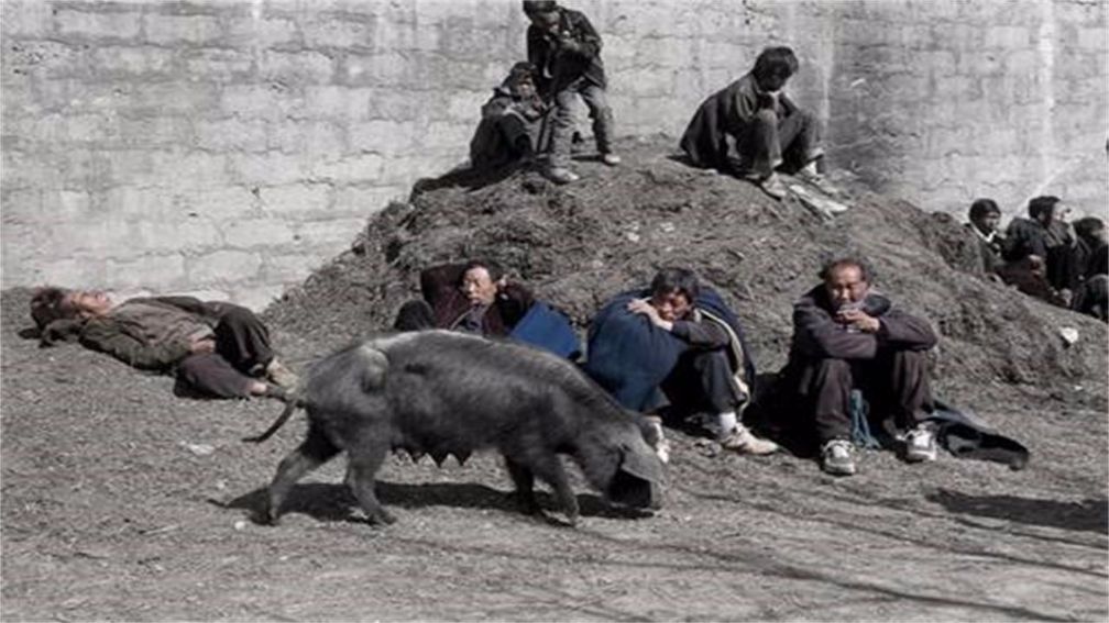 中国最穷的村子:90%的人天天吃土豆,很多人没