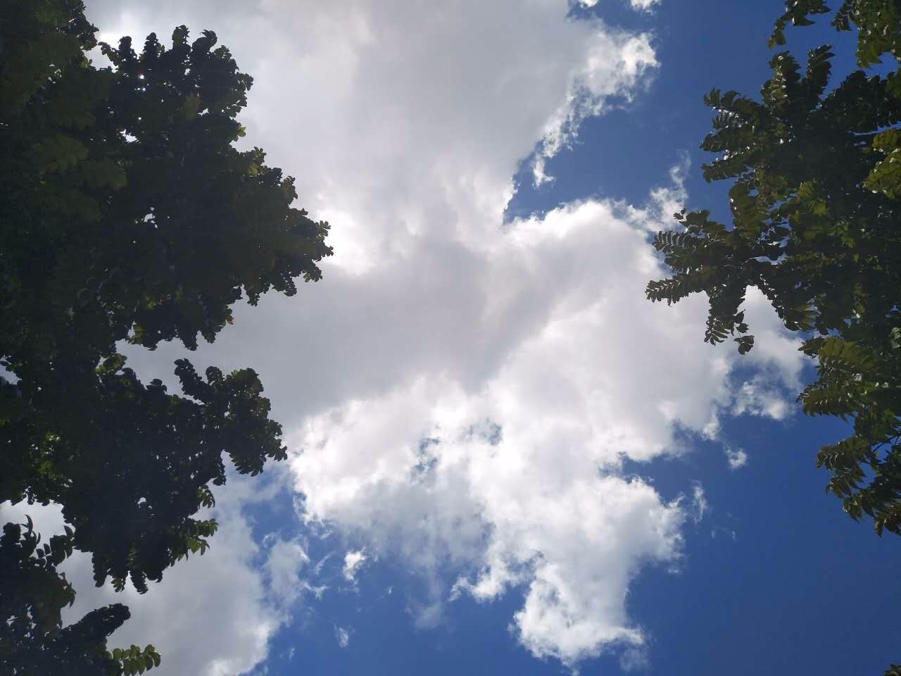 背景 壁纸 风景 天空 桌面 1280_960