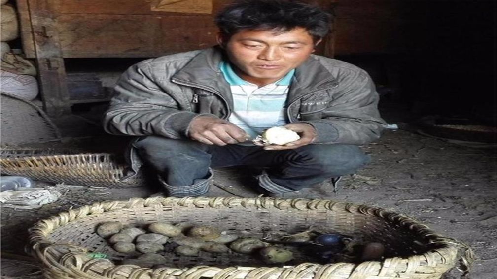 中国最穷的村子:90%的人天天吃土豆,很多人没