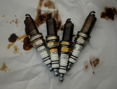 9751-fymrqmq0646231.jpg