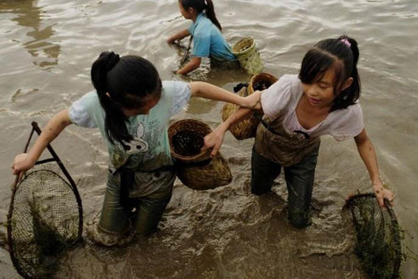 农村摸鱼捉虾的几种工具,简单实用抓野生鱼虾