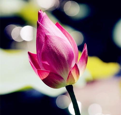 10月9日至15日,下周运气早知道