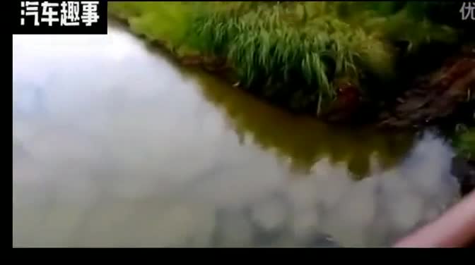 SUV逆行单车道，视频车没敢动方向