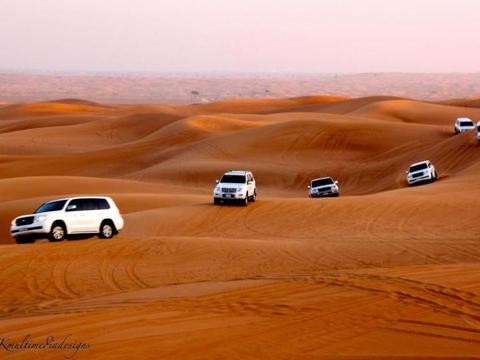 阿拉善硬汉聚会，为何丰田多过了Jeep、路虎？