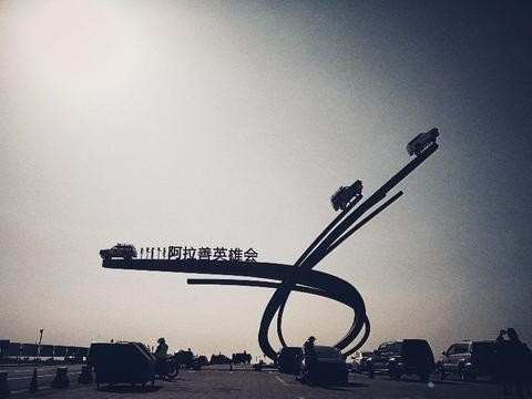 十一被“拐”去阿拉善——兄弟一起野出趣