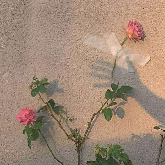 结婚前婆婆送我玉镯价值15万,听到闺蜜的一句