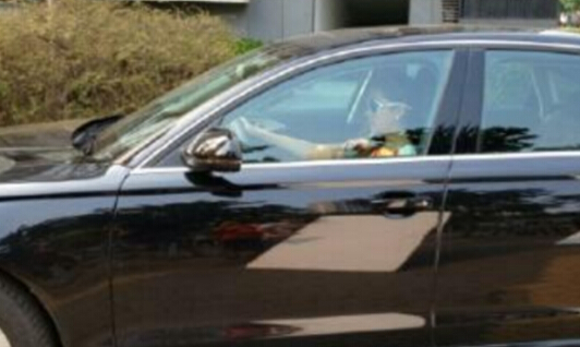 这对情侣座驾不简单,关晓彤开奔驰,鹿晗坐拥玛