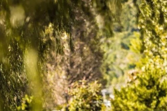 试驾丨君威GS就是一台跑山神器呀！