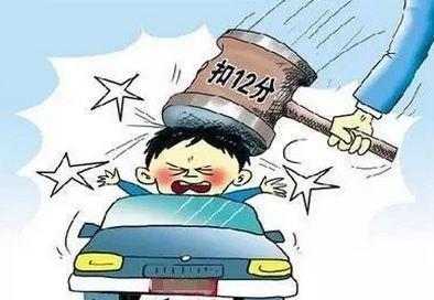 拿到驾照后,别这么高兴!这些问题一定要了解清楚