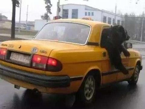 彪悍的“战斗民族”都开什么车？你认识几个？