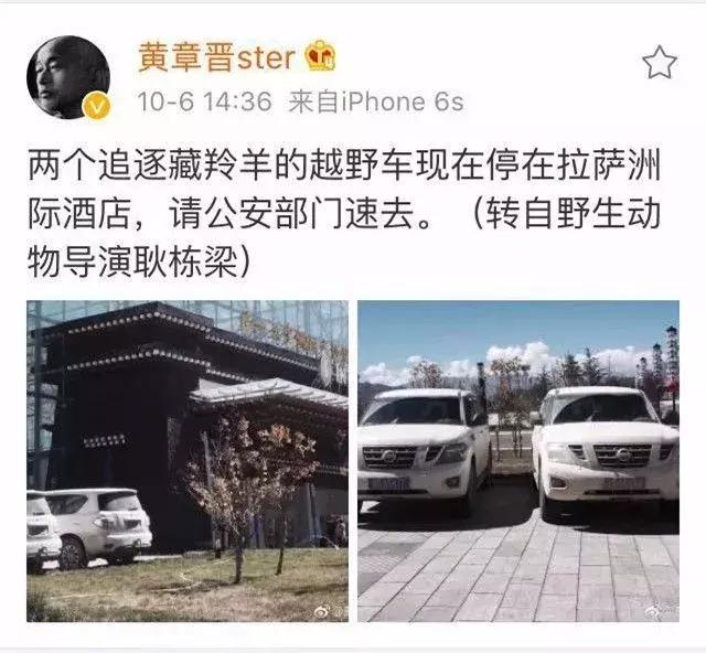 探秘丨为何自驾游车主与藏羚羊拍照竟被罚款10万元？