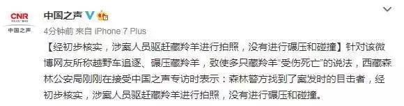 探秘丨为何自驾游车主与藏羚羊拍照竟被罚款10万元？