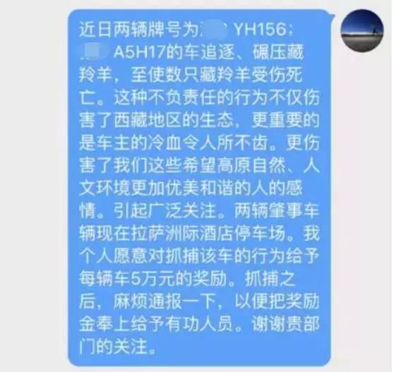 探秘丨为何自驾游车主与藏羚羊拍照竟被罚款10万元？