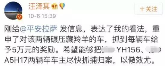 探秘丨为何自驾游车主与藏羚羊拍照竟被罚款10万元？