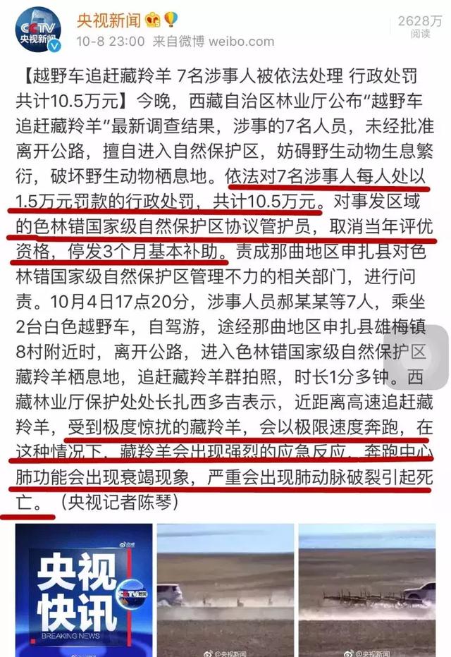 探秘丨为何自驾游车主与藏羚羊拍照竟被罚款10万元？