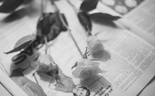 妻子车祸伤重去世,我拿到保险单的那一刻,恨不