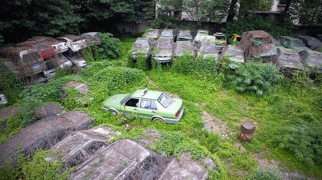 停车位本来就紧张,还被僵尸车霸占了,拖也拖不走