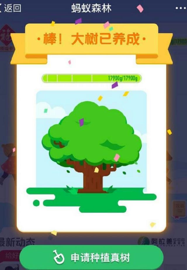 用户蚊子已经助力卫星种下1025万棵树,森林吸引图如此性激素实拍蚂蚁图片