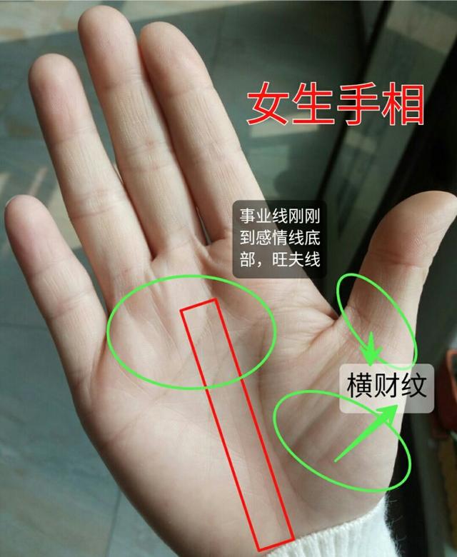 女人手相最喜清晰不杂,事业财纹不破坏感情线,这样的女人最能旺夫.