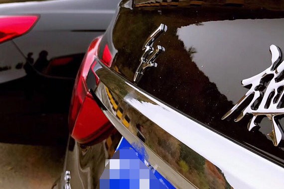 小伙开红旗回农村，村里愣是以为来了大领导，比奔驰还有面子