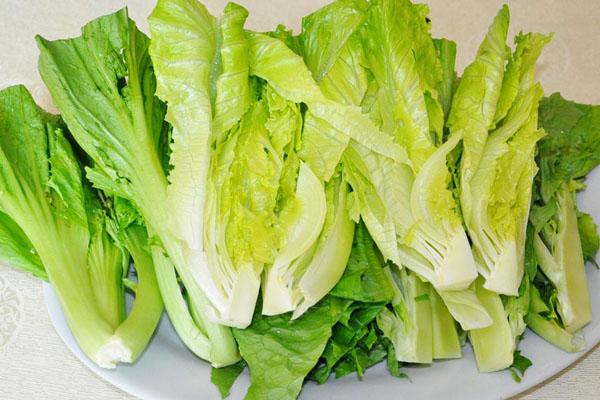 生菜富含维生素a和c,和它一起吃美容减肥!中年瘦身健身操图片