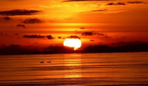 丰田柯斯达中巴车内饰图片柯斯达限量版配置