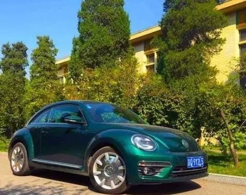 试驾大众甲壳虫 | 在竹林碧雨间捕获一只让人流连的萤火虫